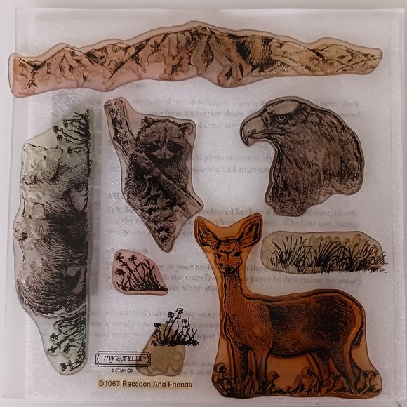 Racoon and friends acrylic are you - Picture 1 of 1